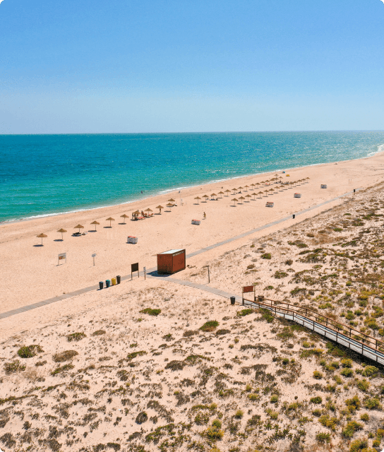 Praia Deserta - Imagem | Animaris