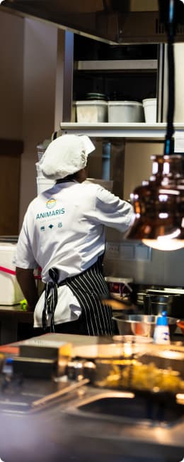Colaboradores | Animaris