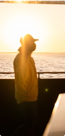 Colaboradores | Animaris