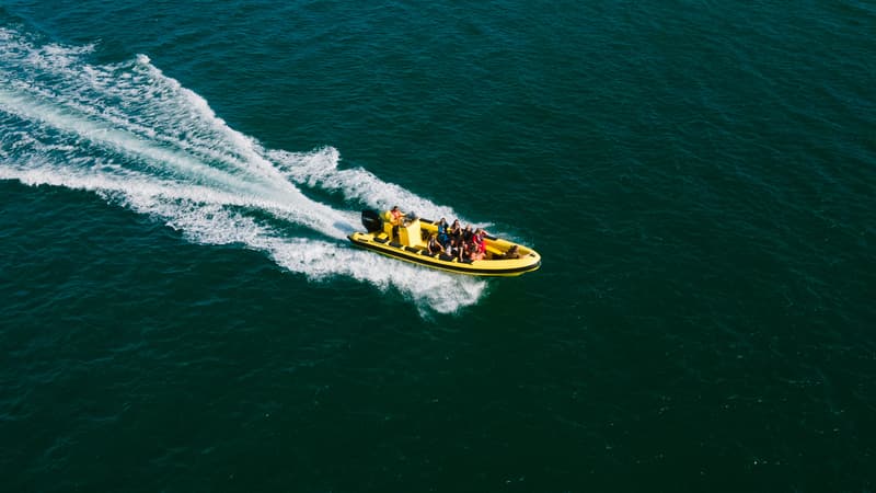 Como chegar | Animaris