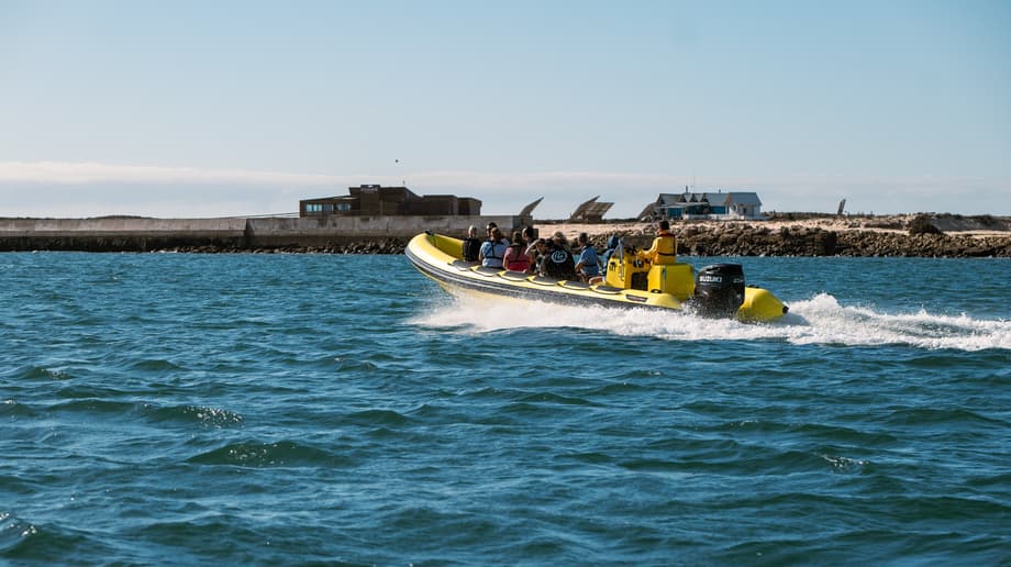 Como chegar | Animaris