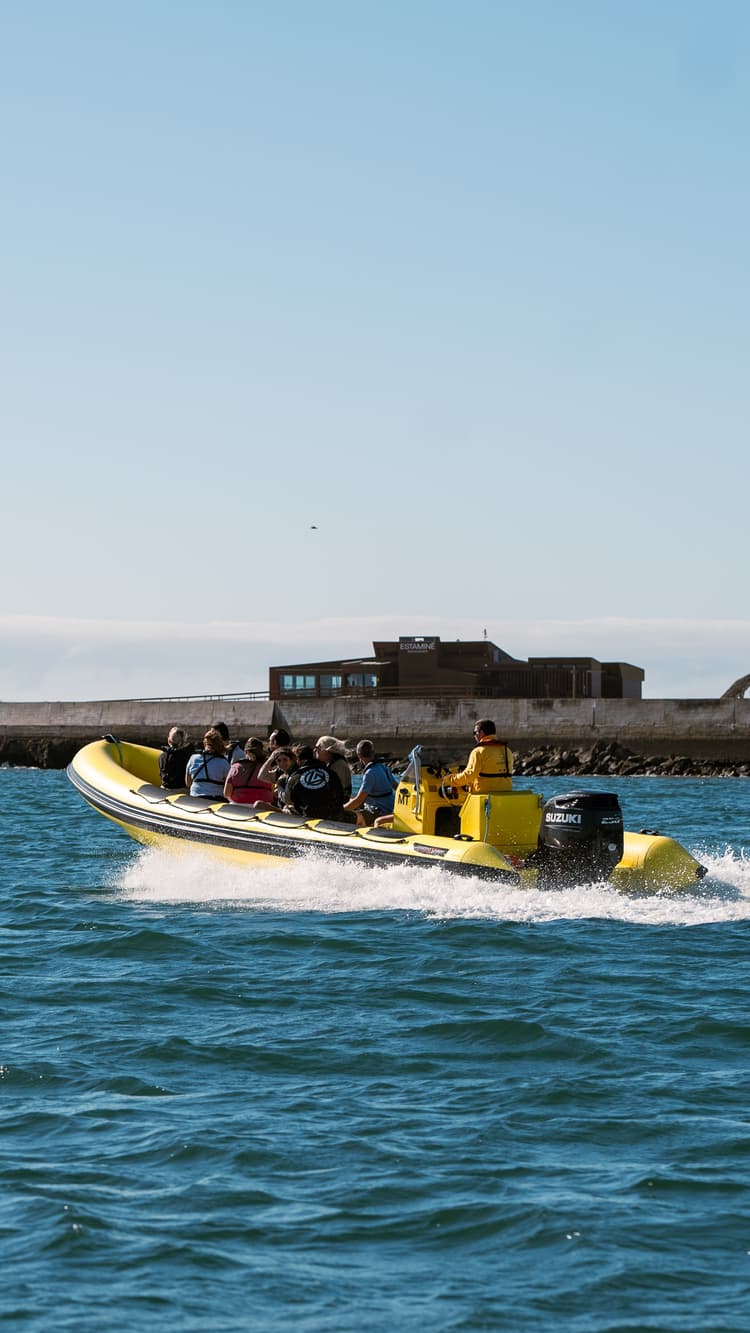 Lorem ipsum dolor sit amet consectetur.