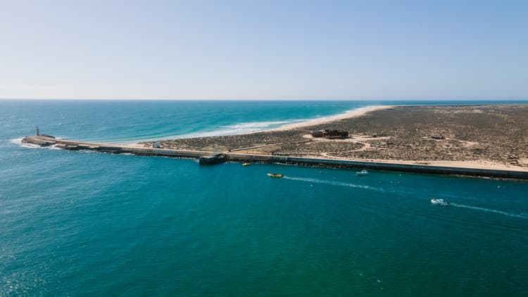 Lorem ipsum dolor sit amet consectetur.