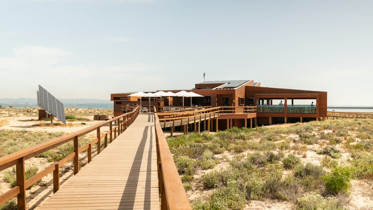 Lorem ipsum dolor sit amet consectetur.