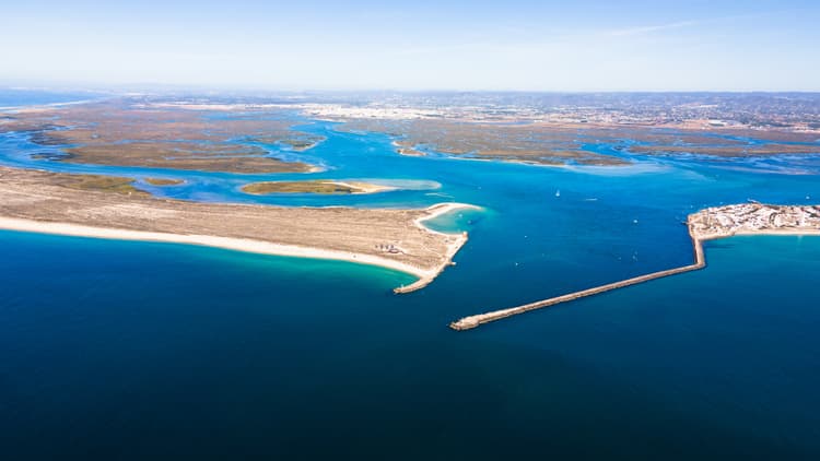 Lorem ipsum dolor sit amet consectetur.