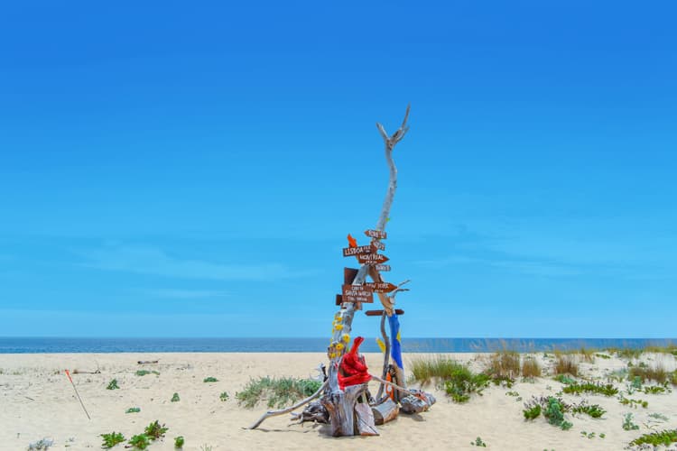 Lorem ipsum dolor sit amet consectetur.