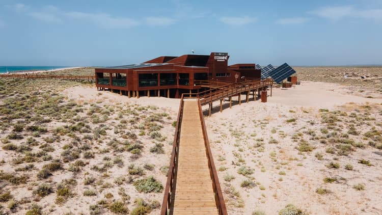 Lorem ipsum dolor sit amet consectetur.