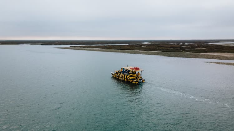 Lorem ipsum dolor sit amet consectetur.