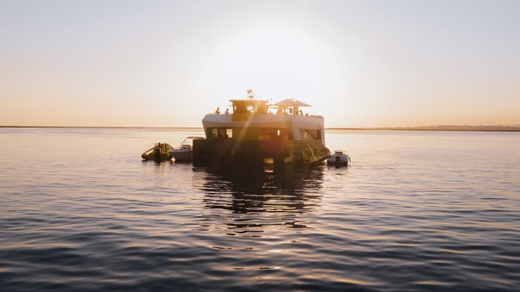 Lorem ipsum dolor sit amet consectetur.