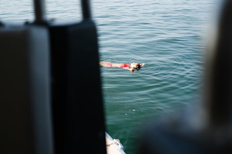 Lorem ipsum dolor sit amet consectetur.