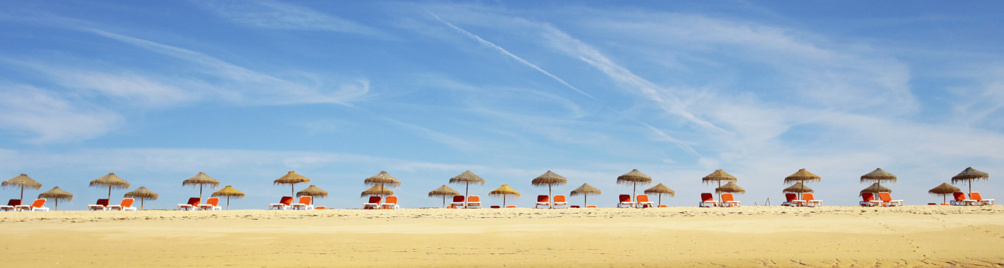 Beach | Animaris