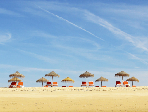 Beach | Animaris